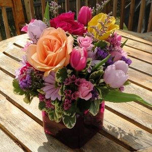 Meet your Posher, Dana